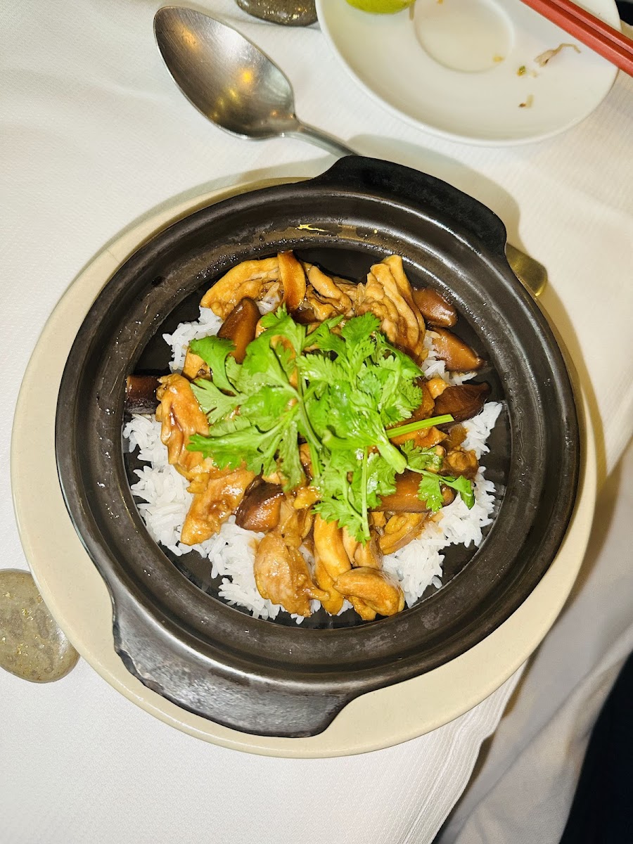 Le Palanquin Photos 2